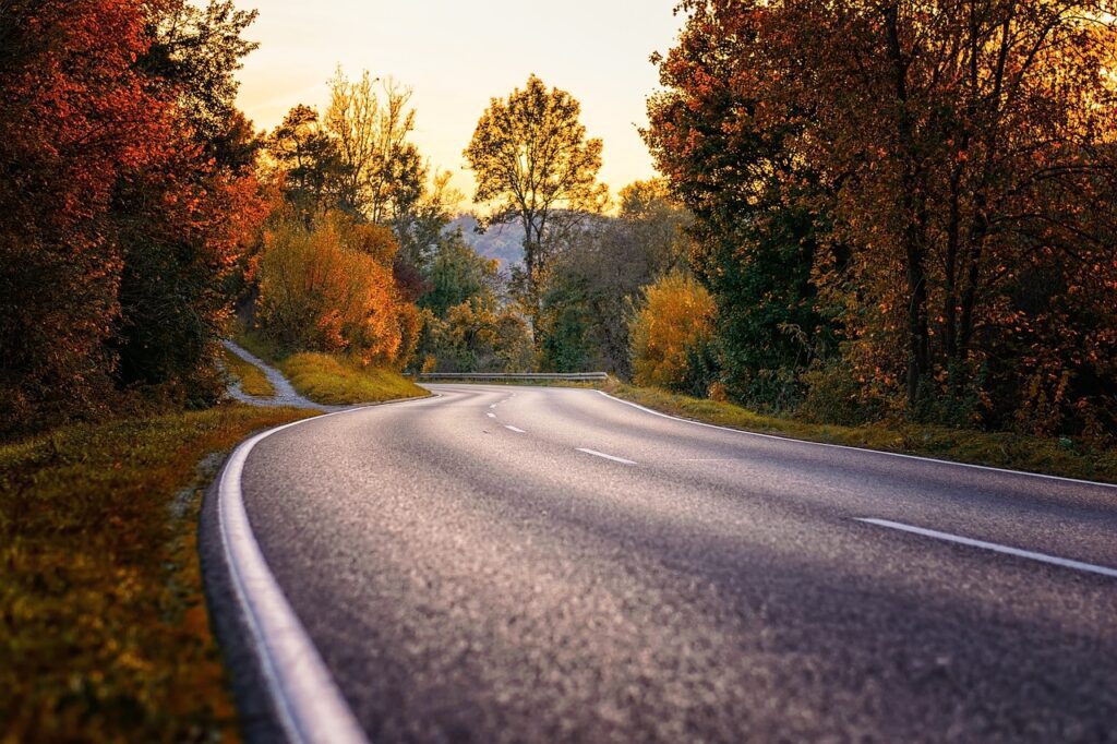 road, curve, s curve-3777610.jpg